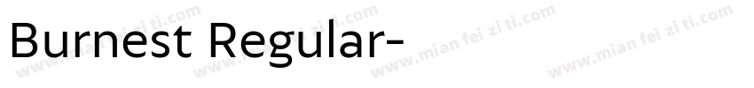 Burnest Regular字体转换